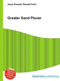 Greater Sand Plover