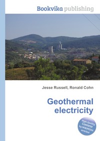 Geothermal electricity