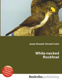 White-necked Rockfowl