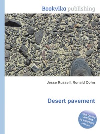 Desert pavement